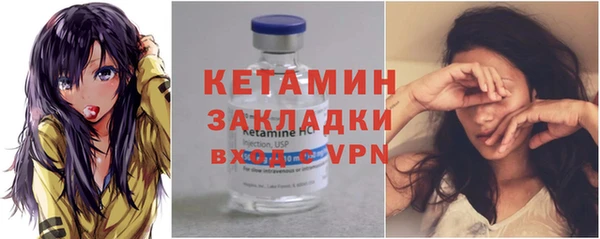 шишки Беломорск
