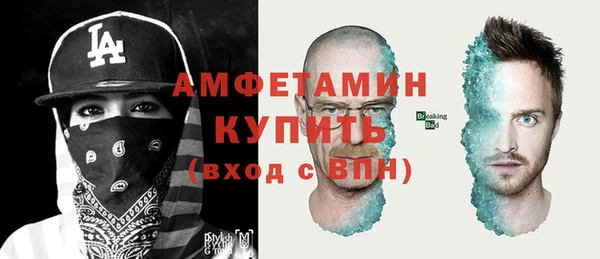 шишки Беломорск