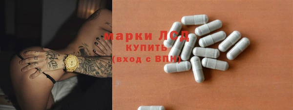 шишки Беломорск